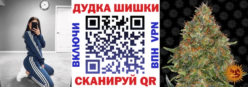 закладки  Лихославль  Бошки Шишки план 